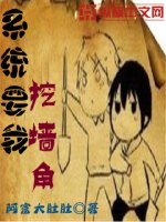 系统要我挖墙角 封面