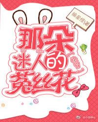 那朵迷人的菟丝花 封面