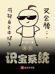 我的识宝系统 封面