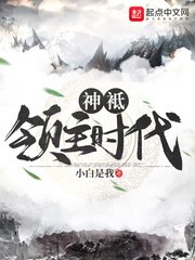 神祇领主时代 封面