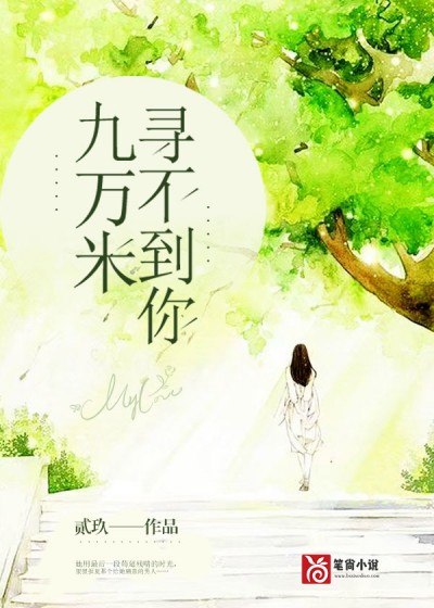 九万米寻不到你苏轻伊迟秩 封面