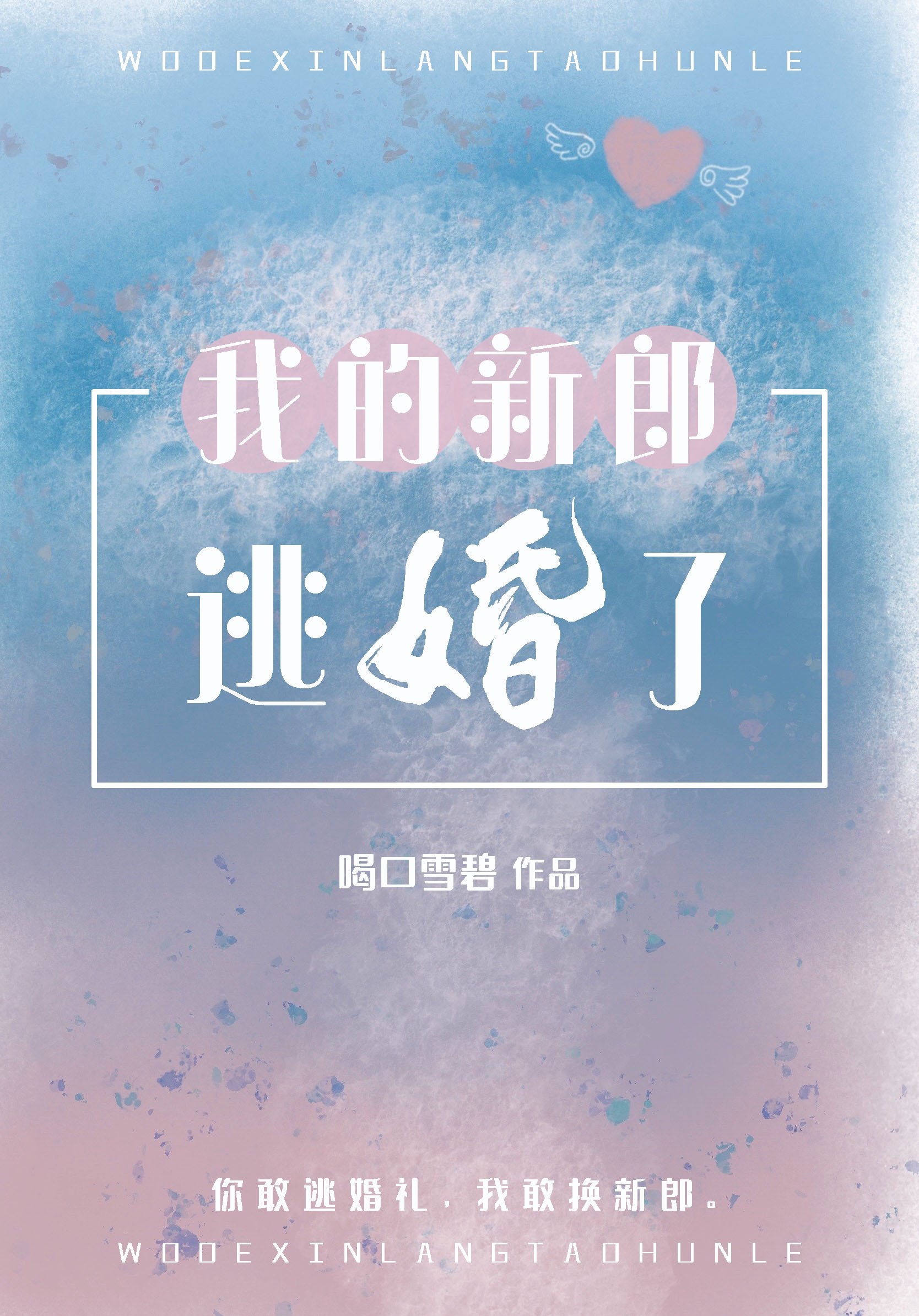 我的新郎逃婚了 封面