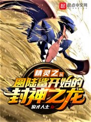 精灵之从圆陆鲨开始的封神之龙! 封面