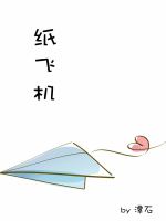 纸飞机 封面