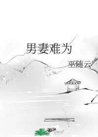 男妻难为 封面