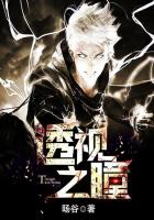 透视之瞳 封面