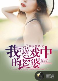 我游戏中的老婆 封面