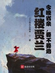 红楼贾兰：今晚省亲，要不要逃？ 封面