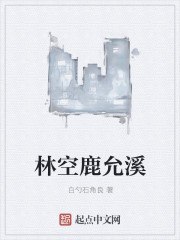 林空鹿允溪 封面