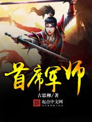 首席军师 封面