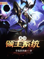 无尽领主系统 封面
