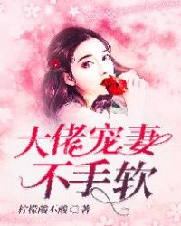 大佬宠妻不手软 封面