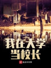 我在大学当校长 封面