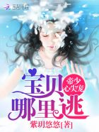 帝少心尖宠:宝贝,哪里逃 封面