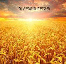 在乡村爱情当村支书 封面