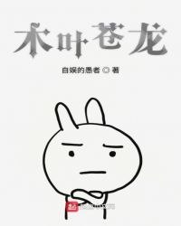 木叶苍龙 封面