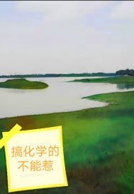 搞化学的不能惹 封面