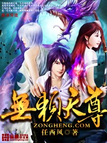 无赖天尊 封面