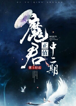 魔君正值中二期 封面