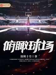 俯瞰球场 封面