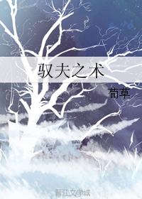 驭夫之术 封面