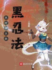 木叶天天的黑忍法 封面