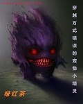 穿越方式错误的宠物小精灵 封面