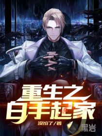 重生之白手起家 封面