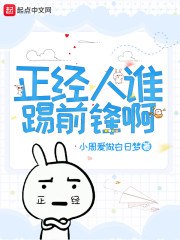 正经人谁踢前锋啊 封面
