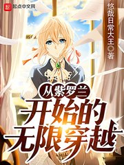 从紫罗兰开始的无限穿越 封面