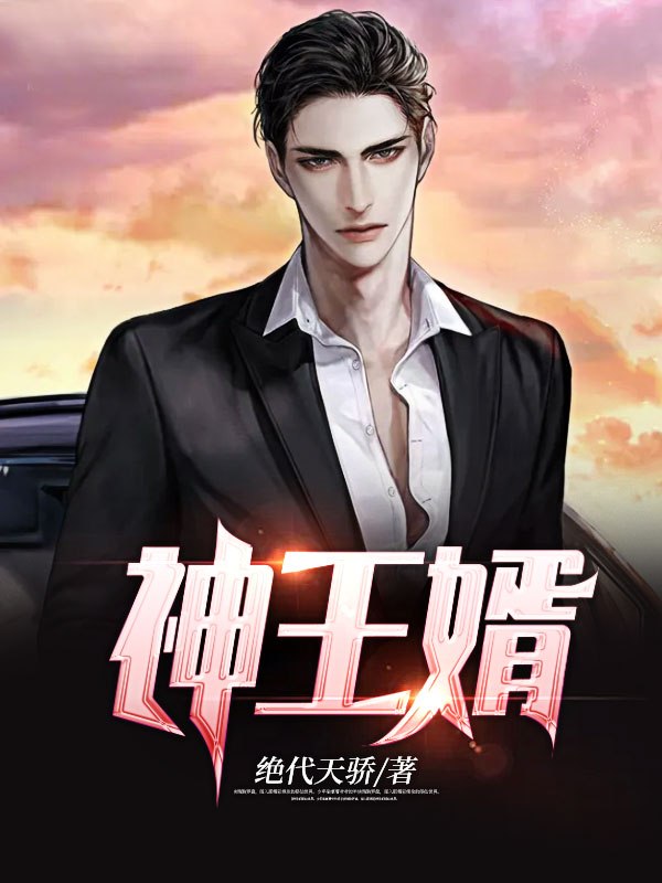 神王婿秦天苏酥 封面