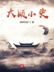 大顺小吏 封面