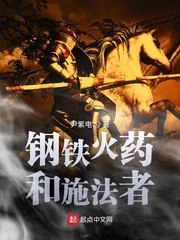 钢铁火药和施法者 封面