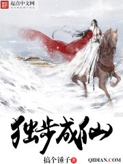 独步成仙 封面