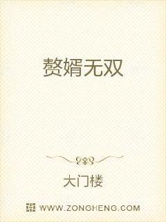 赘婿无双 封面