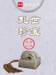 乱世珍宝 封面