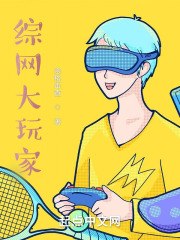 综网大玩家 封面