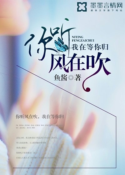 你听风在吹,我在等你归 封面