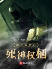 哈利波特之死神权柄 封面