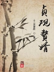 贞观赘婿 封面