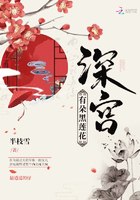 深宫有朵黑莲花 封面