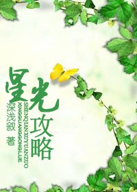 星光攻略 封面