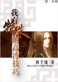 我有特殊的高冷技巧 封面
