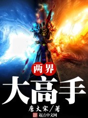 两界大高手 封面