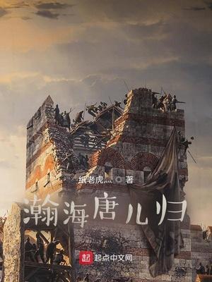 瀚海唐儿归 封面
