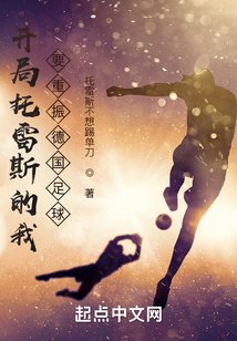 开局托雷斯的我，要重振德国足球 封面