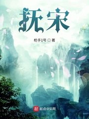抚宋 封面