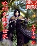 哈利之傲罗世家 封面