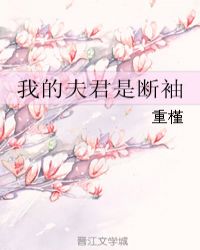 我的夫君是断袖 封面