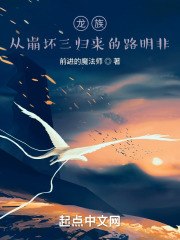 龙族:从崩坏三归来的路明非 封面